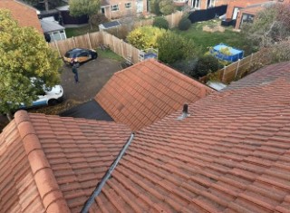 Residential patio lichen removal service