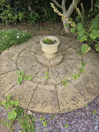 Domestic render cleaning soft wash process