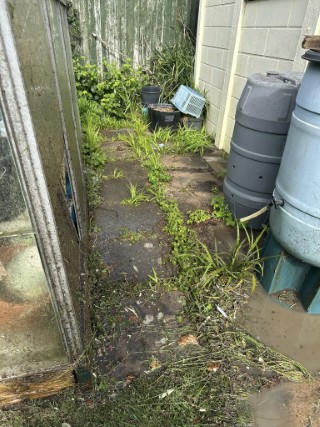 Lichen removal from stone paving